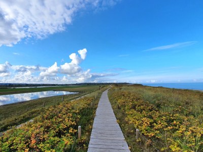 Holiday apartment Anacker - Environment photo 30