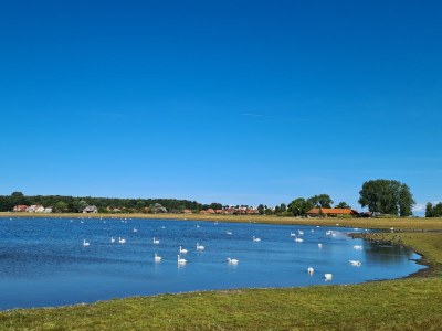 Holiday apartment Anacker - Environment photo 35