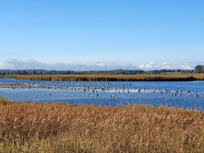 Holiday apartment Anacker - Environment photo 36