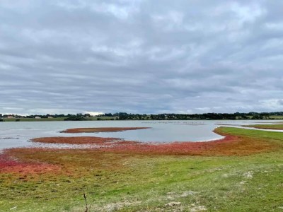 Holiday house 18 Personen Ferienhaus in Faaborg - Outdoor photo 18