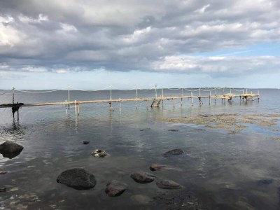 Holiday house 18 Personen Ferienhaus in Faaborg - Outdoor photo 34