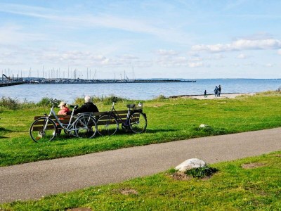 Holiday house 8 Personen Ferienhaus in Gelting - Outdoor photo 14