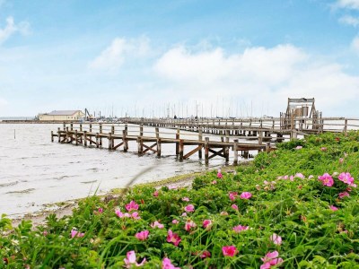 Holiday house 8 Personen Ferienhaus in Gelting - Outdoor photo 16