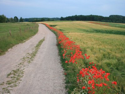 Apartment Wohnung in Klütz nahe Schloss Bothmer - Environment photo 13