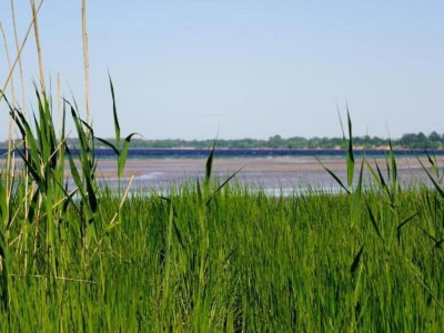 Apartment Wohnung in Klütz nahe Schloss Bothmer - Environment photo 23