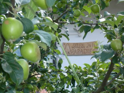 Holiday apartment Paradies in Haus Paradies - Outdoor photo 5