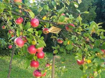 Holiday apartment Paradies in Haus Paradies - Outdoor photo 9