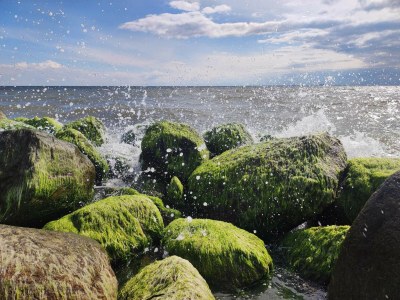 Holiday house 6 Personen Ferienhaus in Rømø-By Traum - Outdoor photo 31
