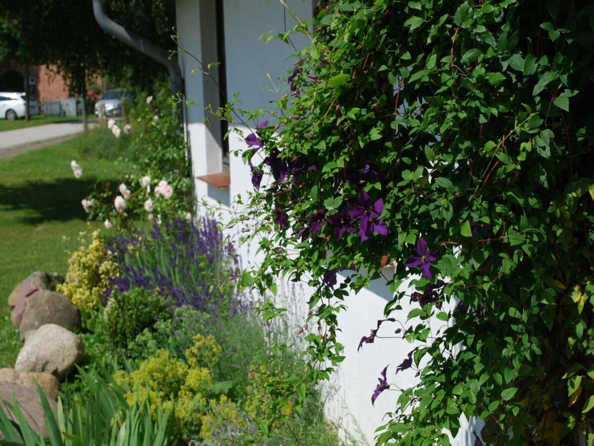 Apartment Wohnung in Dargun mit Garten - Outdoor photo 2