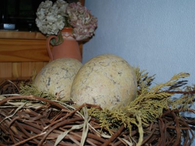 Apartment Wohnung in Dargun mit Garten - Outdoor photo 26