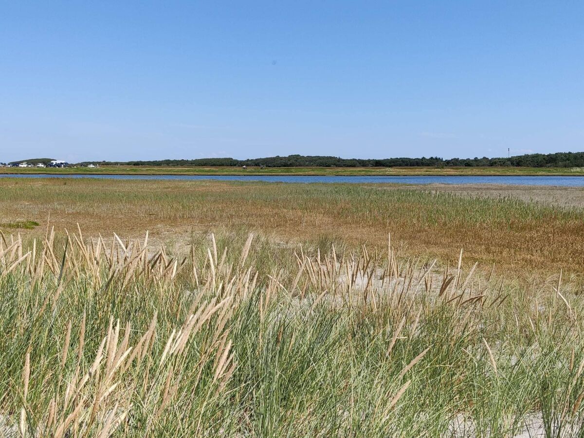 Holiday house 6 Personen Ferienhaus in Læsø-By Traum