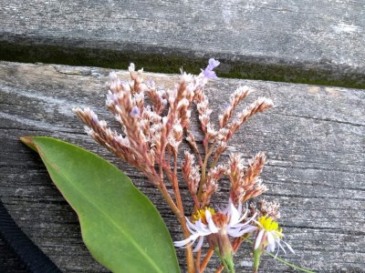 Holiday house 6 Personen Ferienhaus in Læsø-By Traum - Outdoor photo 18