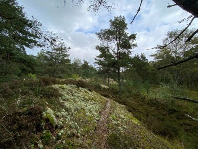 Holiday house 6 Personen Ferienhaus in Læsø-By Traum - Outdoor photo 19