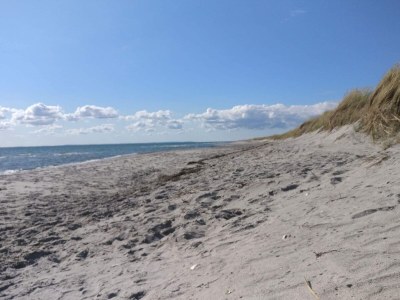 Holiday house 6 Personen Ferienhaus in Læsø-By Traum - Outdoor photo 22