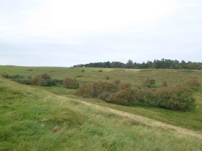 Holiday house 5 person holiday home in Græsted-By Traum - Outdoor photo 16
