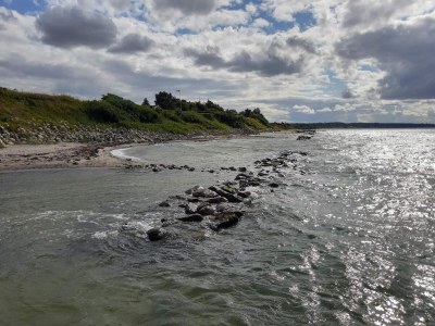 Holiday house 6 person holiday home in Brenderup Fyn-By Traum - Outdoor photo 13