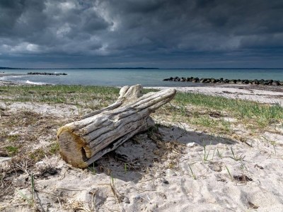 Holiday house 6 person holiday home in Brenderup Fyn-By Traum - Outdoor photo 34