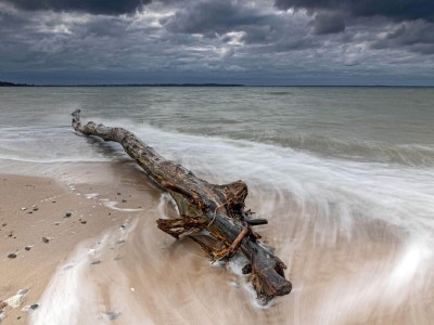 Holiday house 6 person holiday home in Brenderup Fyn-By Traum - Outdoor photo 35