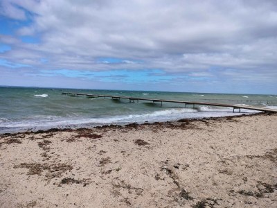 Holiday house 6 person holiday home in Brenderup Fyn-By Traum - Outdoor photo 38