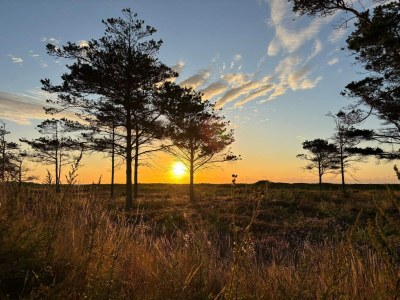 Holiday house 6 person holiday home in Hals-By Traum - Outdoor photo 41