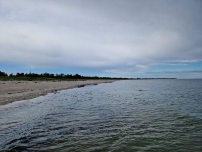 Holiday house 8 Personen Ferienhaus in Væggerløse-By Traum - Outdoor photo 41