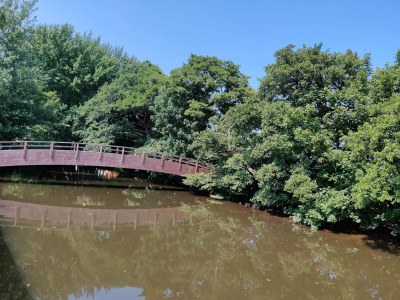 Holiday house 4 Personen Ferienhaus in Sæby-By Traum - Outdoor photo 4