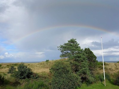 Holiday house 4 Personen Ferienhaus in Sæby-By Traum - Outdoor photo 27