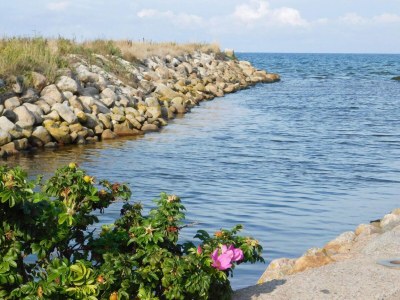 Holiday house 4 Personen Ferienhaus in Sæby-By Traum - Outdoor photo 31