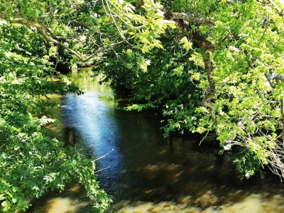 Holiday house 4 Personen Ferienhaus in Sæby-By Traum - Outdoor photo 33