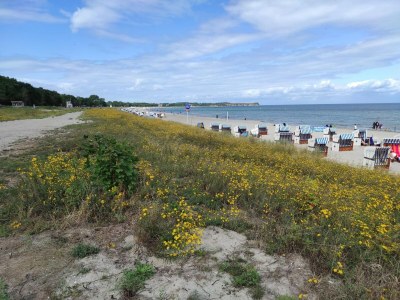 Apartment Apartment in Klütz mit Garten - Environment photo 34