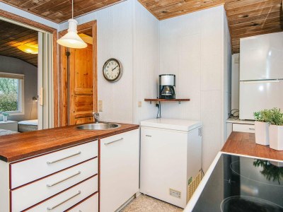 Holiday house 4 person holiday home in Grindsted-By Traum - Outdoor photo 12