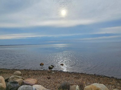 Holiday house 8 Personen Ferienhaus in Ringkøbing-By Traum - Outdoor photo 40