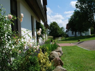 Apartment Idyllische Wohnung mit Pool in Mecklenburg - Outdoor photo 6