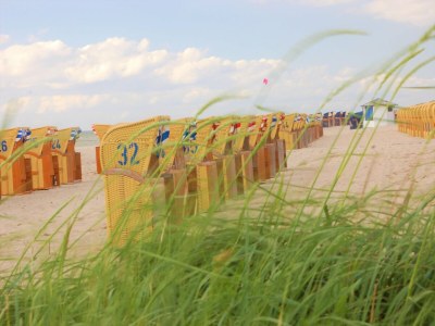 Apartment Wohnung in Rerik nahe Ostseestrand - Environment photo 31