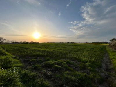 Holiday house 6 person holiday home in Haderslev-By Traum - Outdoor photo 28