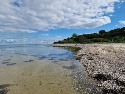Holiday house 6 person holiday home in Haderslev-By Traum - Outdoor photo 30