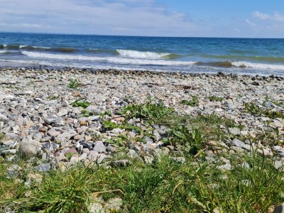 Holiday house 6 person holiday home in Haderslev-By Traum - Outdoor photo 33