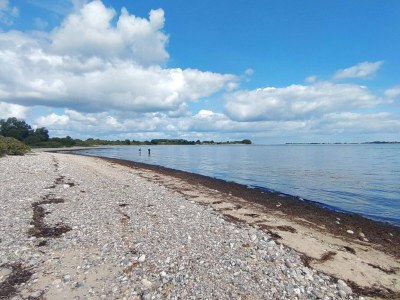Holiday house 6 person holiday home in Haderslev-By Traum - Outdoor photo 36