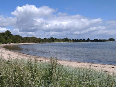 Holiday house 6 person holiday home in Haderslev-By Traum - Outdoor photo 41