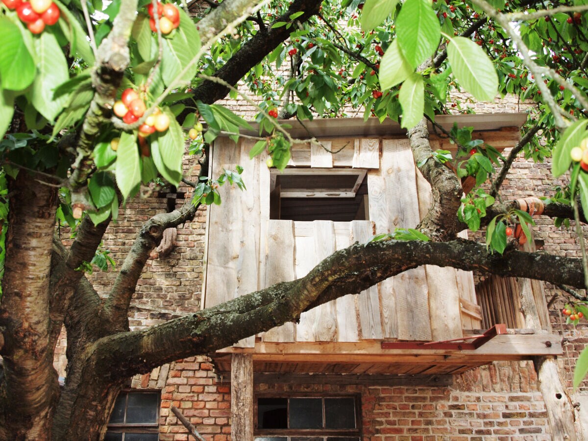 Holiday apartment The Blaue ("Blue") holiday apartment. - Outdoor photo 4
