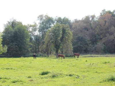 Holiday apartment The Blaue ("Blue") holiday apartment. - Outdoor photo 6