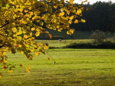 Holiday apartment The Blaue ("Blue") holiday apartment. - Environment photo 19