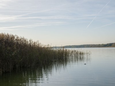 Holiday apartment The Blaue ("Blue") holiday apartment. - Environment photo 21