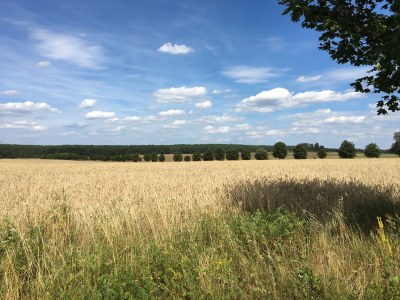 Holiday apartment The Blaue ("Blue") holiday apartment. - Environment photo 24