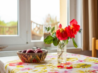 Bungalow Gemütlicher Bungalow in Pepelow nahe dem Meer - Outdoor photo 38