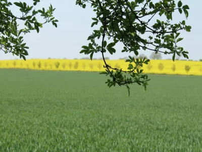 Apartment Ferienhaus in Boltenhagen am Sandstrand - Environment photo 25