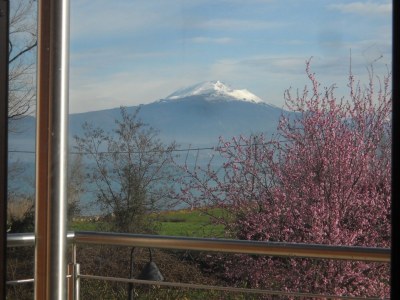 Holiday apartment Borgogasparina - Outdoor photo 5