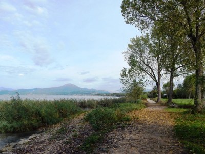 Holiday apartment Borgogasparina - Environment photo 17