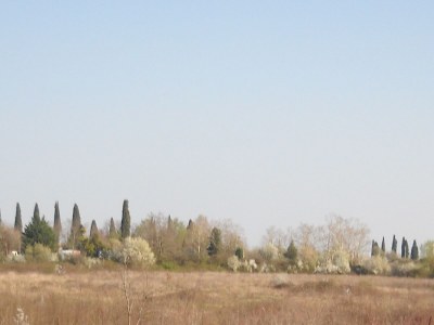 Holiday apartment Borgogasparina - Environment photo 20