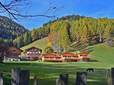 Chalet Larch forest in Mühlbach/Vals - Chalet
